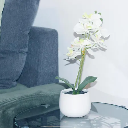 Le Sweet Home, Clim, Parking Prive, Wifi * Reims