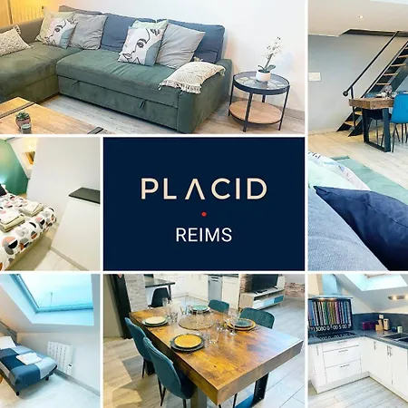 Appartement Le Sweet Home, Clim, Parking Prive, Wifi Reims